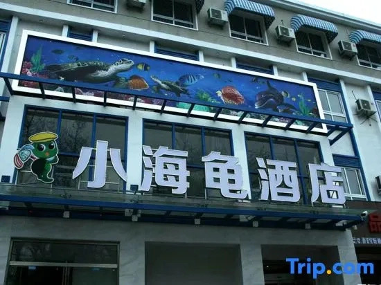 Turtle’s Hotel