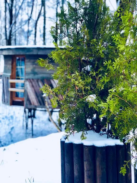 Romantic house