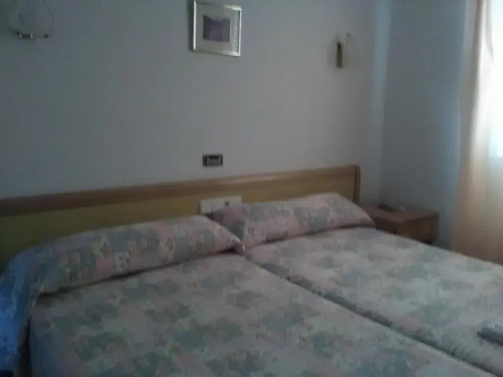Hostal Restaurante el Cazador