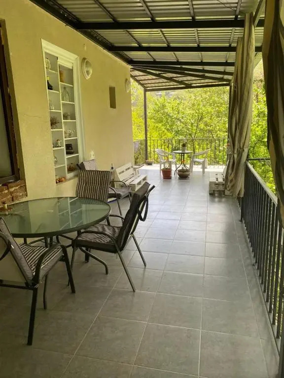 Guest house Sarajishvilze
