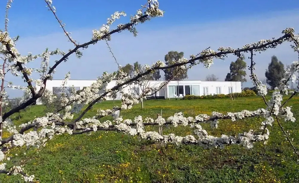 Costantucci Country House