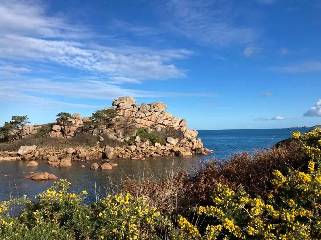 Les Hortensias à 50 m de la plage de Trestraou