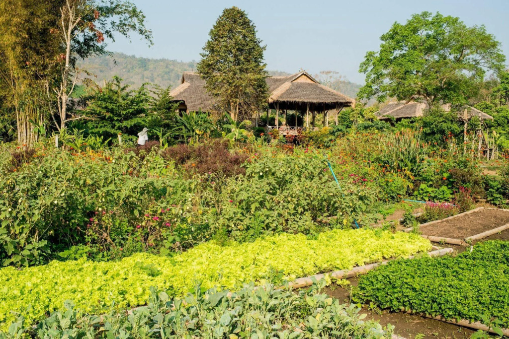 Lisu Lodge by Asian Oasis