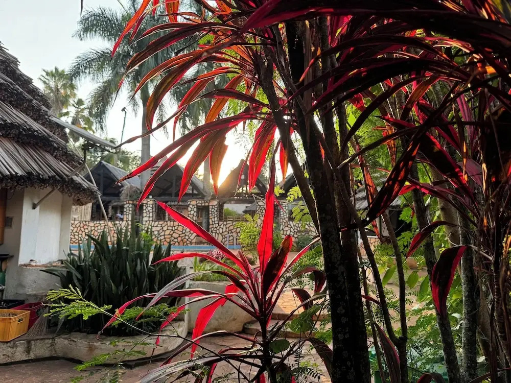 King Fischer's Resort Bukaya
