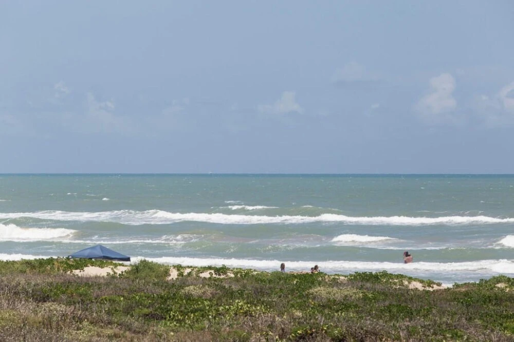 Ocean Vista 306 by Padre Island Rentals