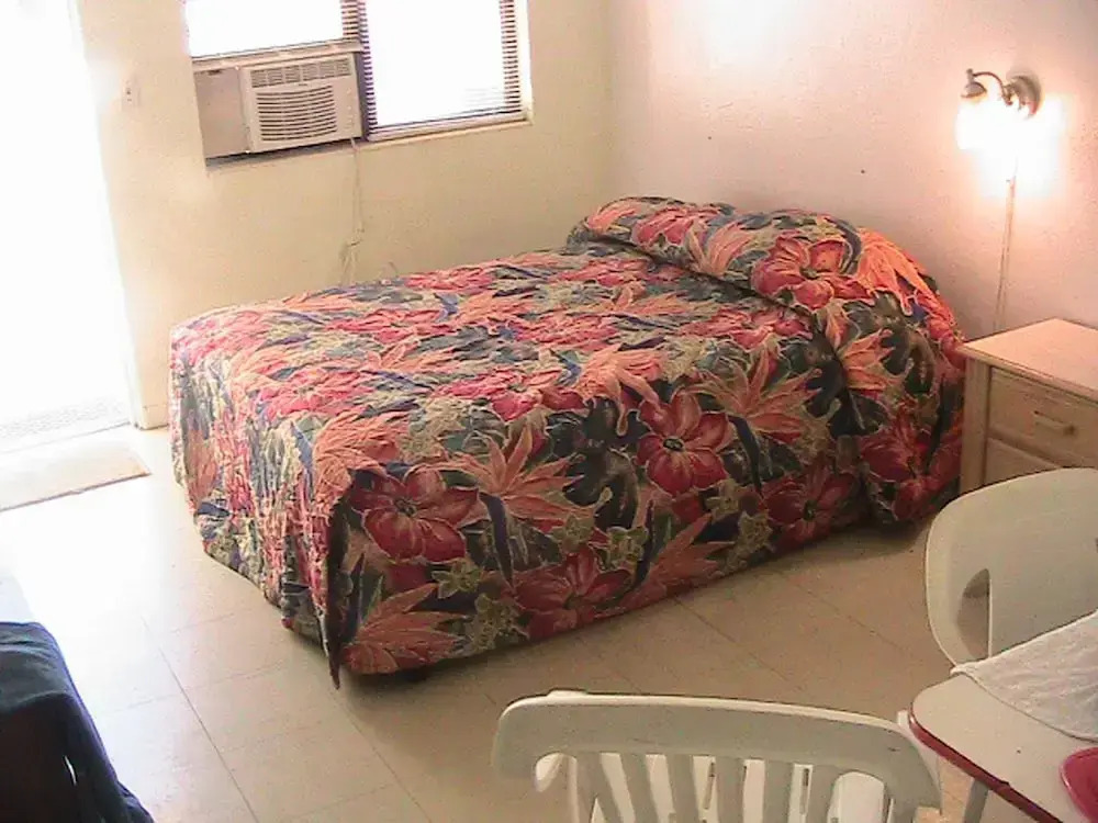 Best Southern Sun Plaza Motel