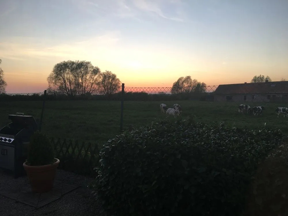 T Wolvennest