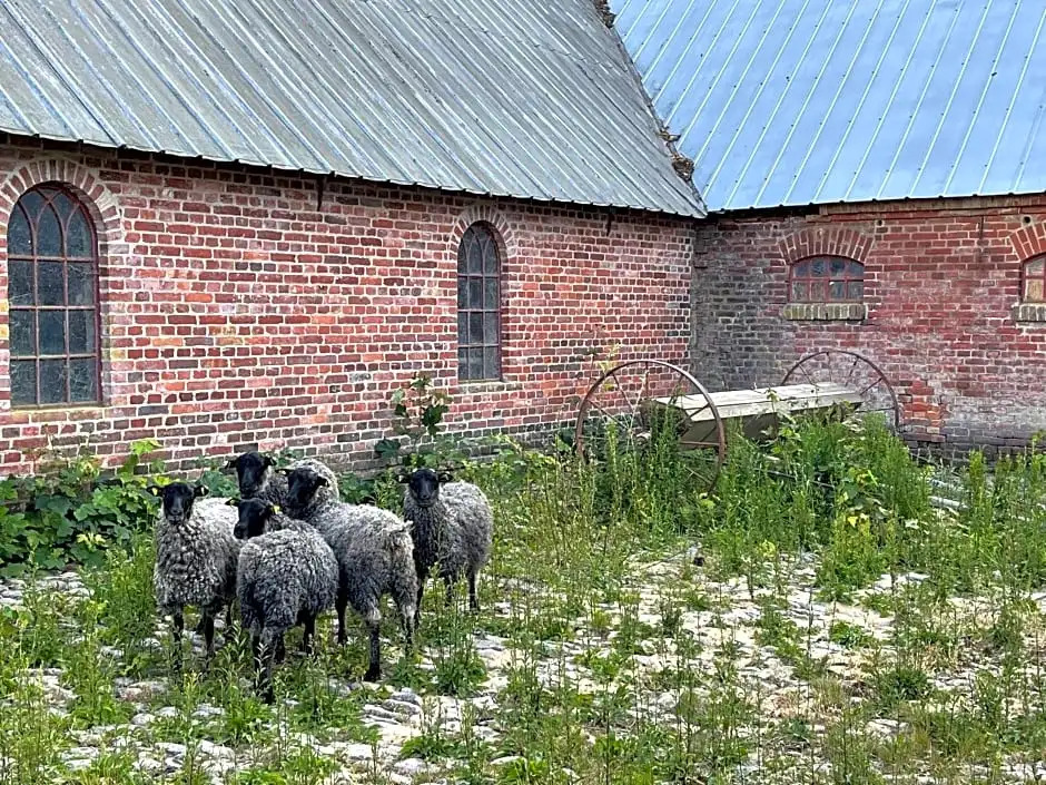 Store Stensig (landlig idyl ved Frederikshavn)