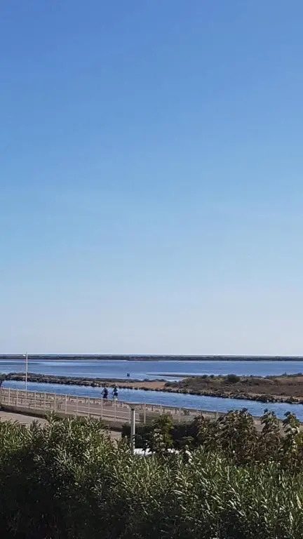 Studio Gruissan Proche Plage Des Chalets (Adults Only)