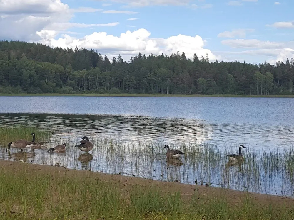 5 Person Holiday Home in Morlunda