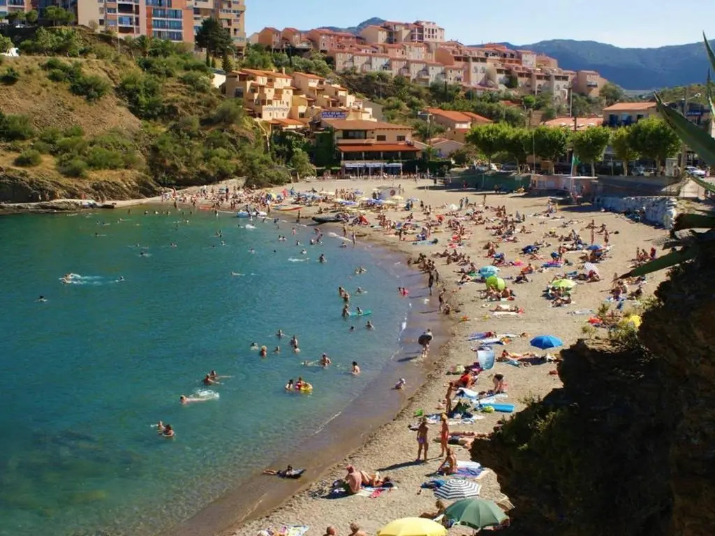 Appartement Banyuls-sur-Mer, 2 pièces, 4 personnes - FR-1-225C-534