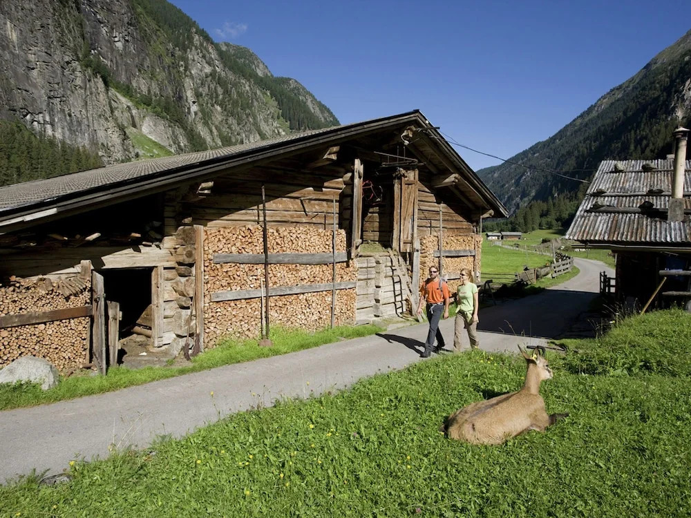 Appartement Freiblick