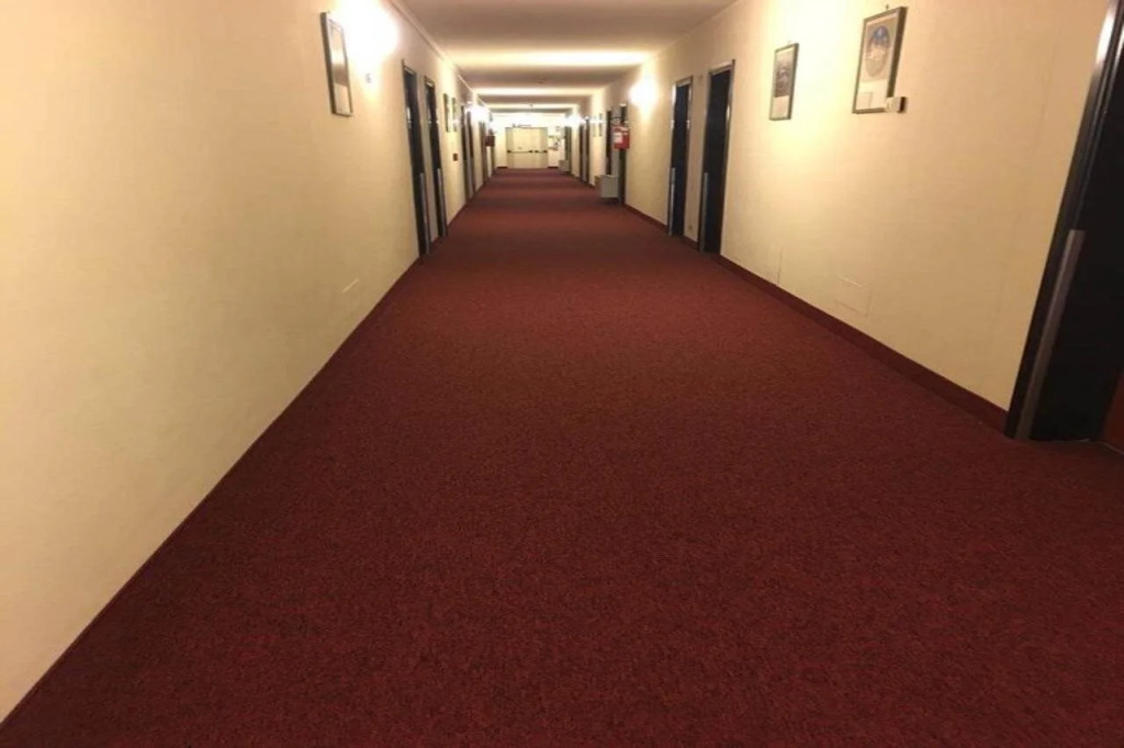 Venice Hotel Albatros
