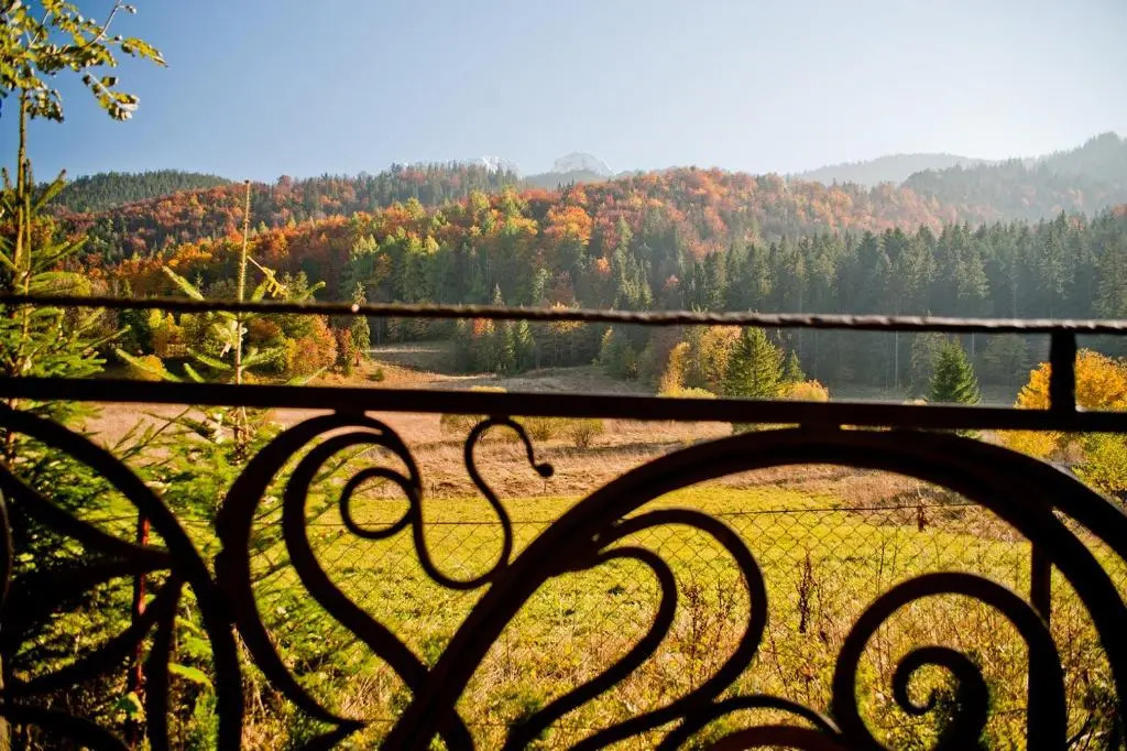 Domki Narciarskie Zakopane
