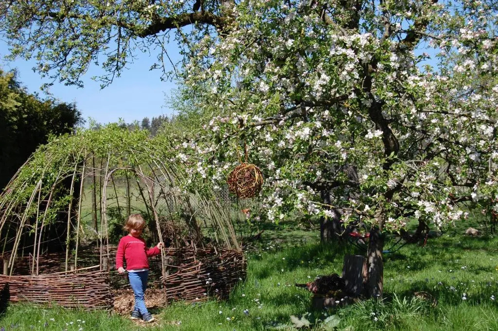 Biohof Pürten