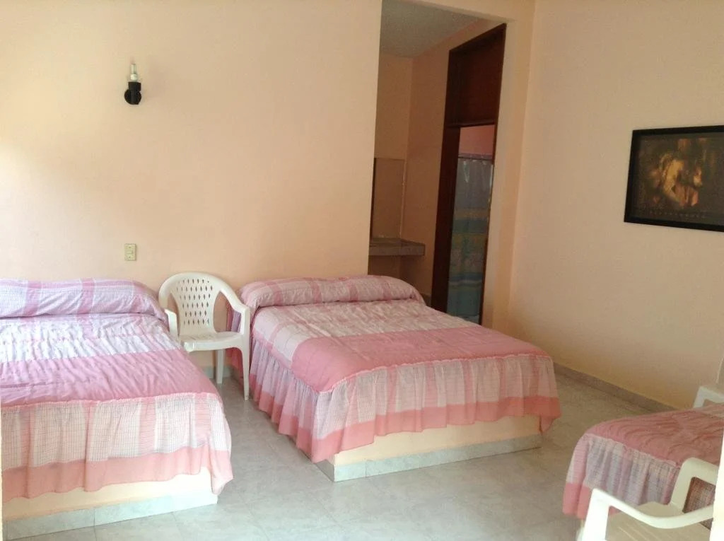 Hotel Tecozautla