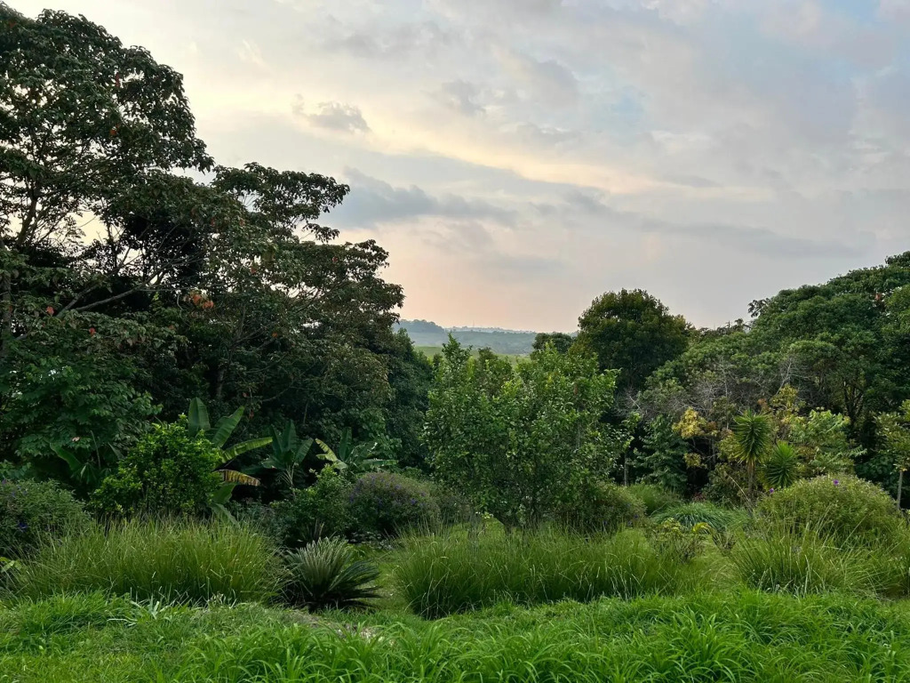 Wayra Natura