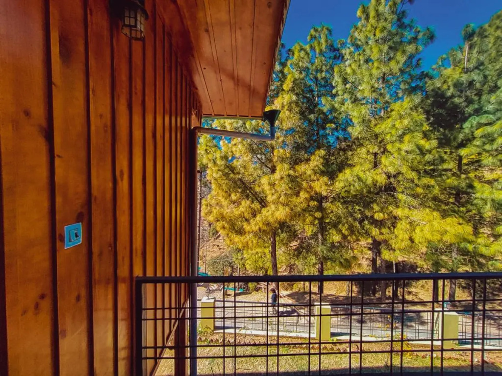THEHIMALAYANLIVING WHISTLING PINES
