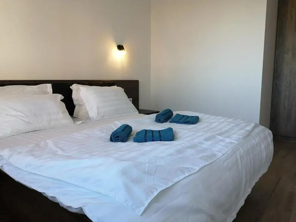Ared-Atrium Mall ChrysFlatty 3 Premium apartment 60mp