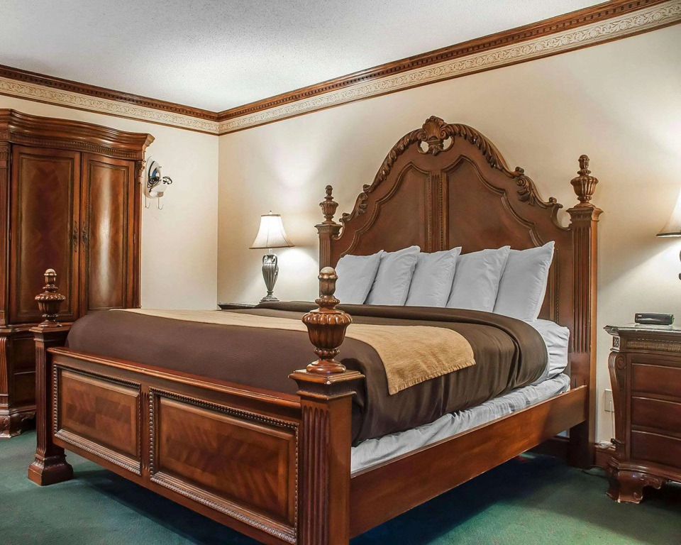 Econo Lodge at the Falls North