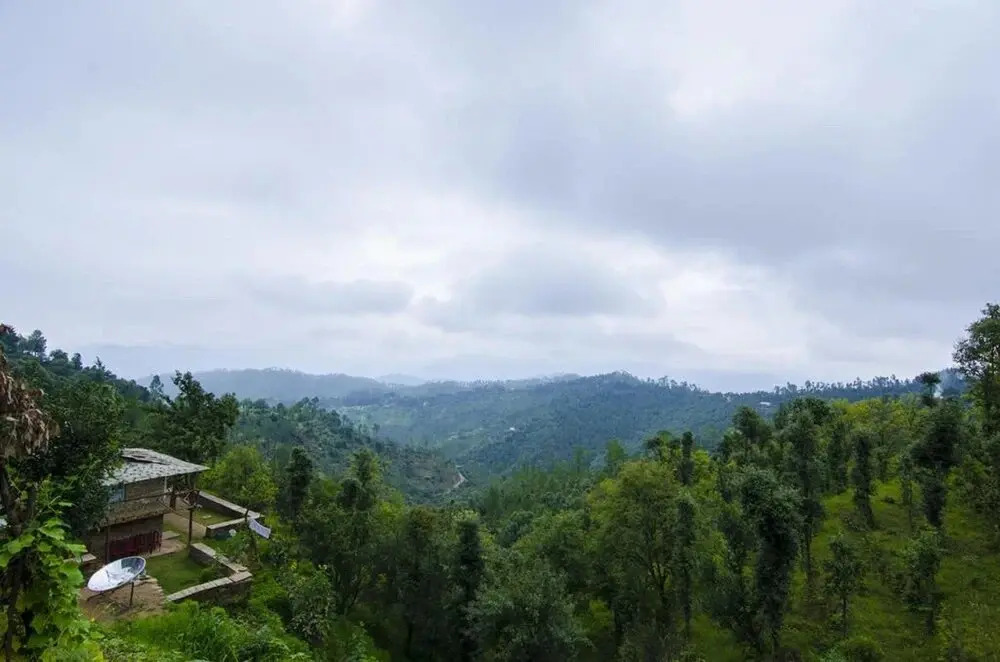 Shukun Homestay