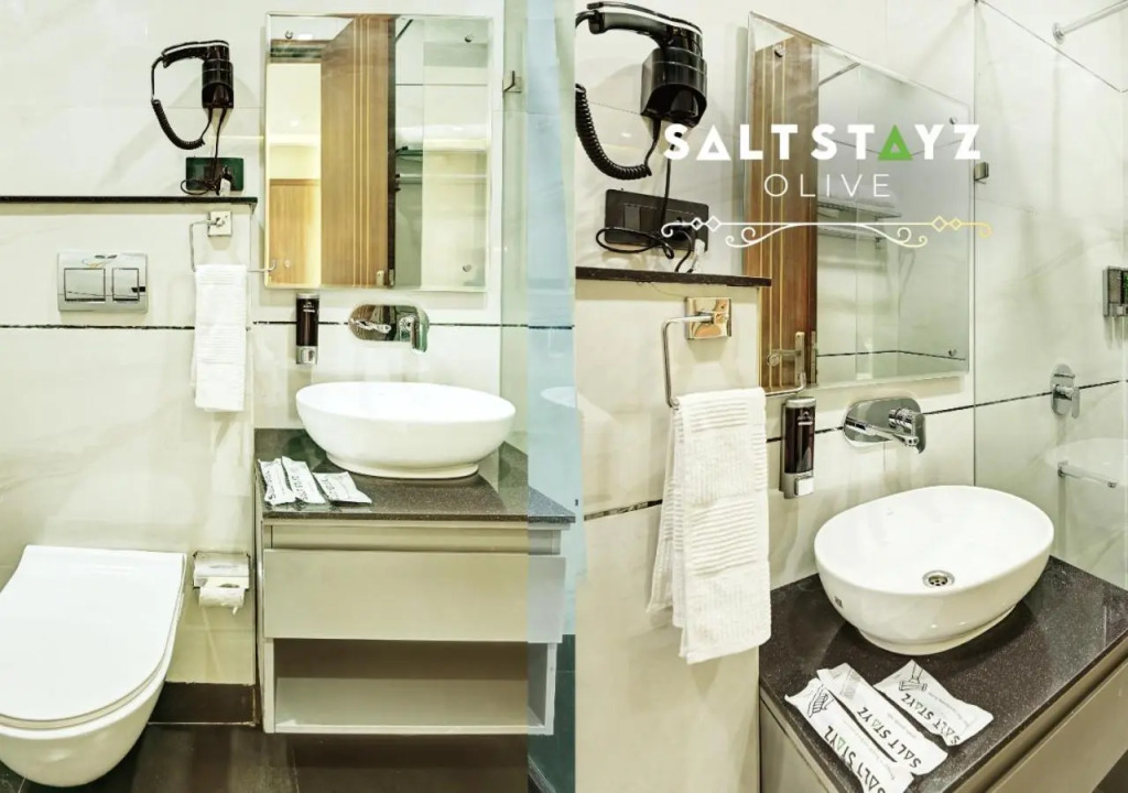 Saltstayz Select - Pitampura