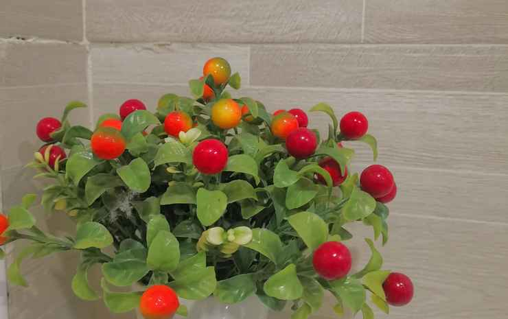 Mint Organic Farm Stay, Wangchin,Phrae