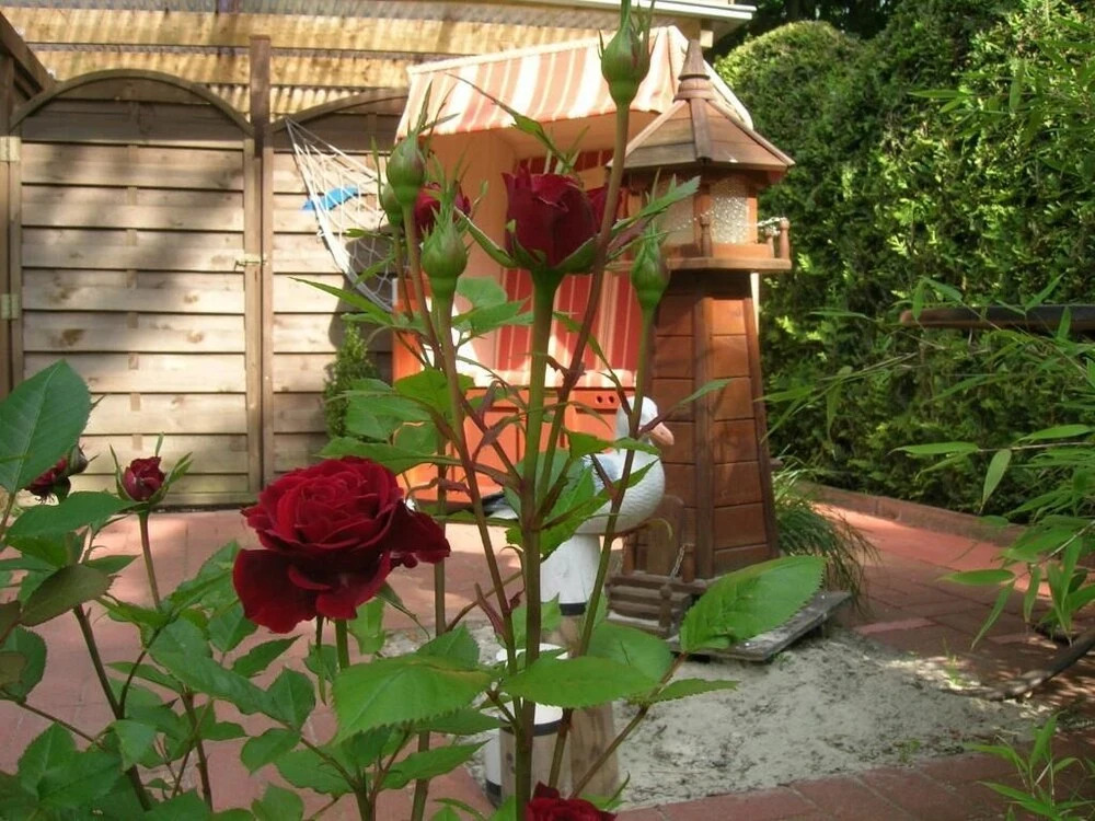 Hotel Garni Nolting