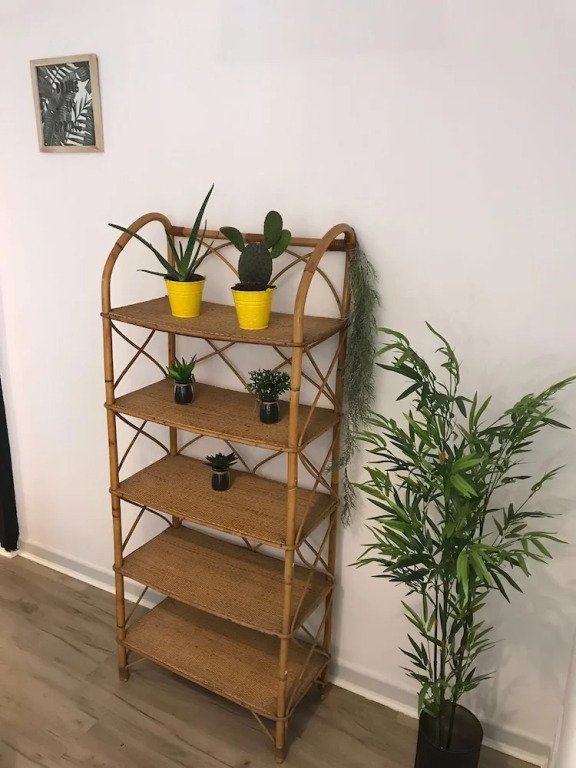 Cactus Apartment
