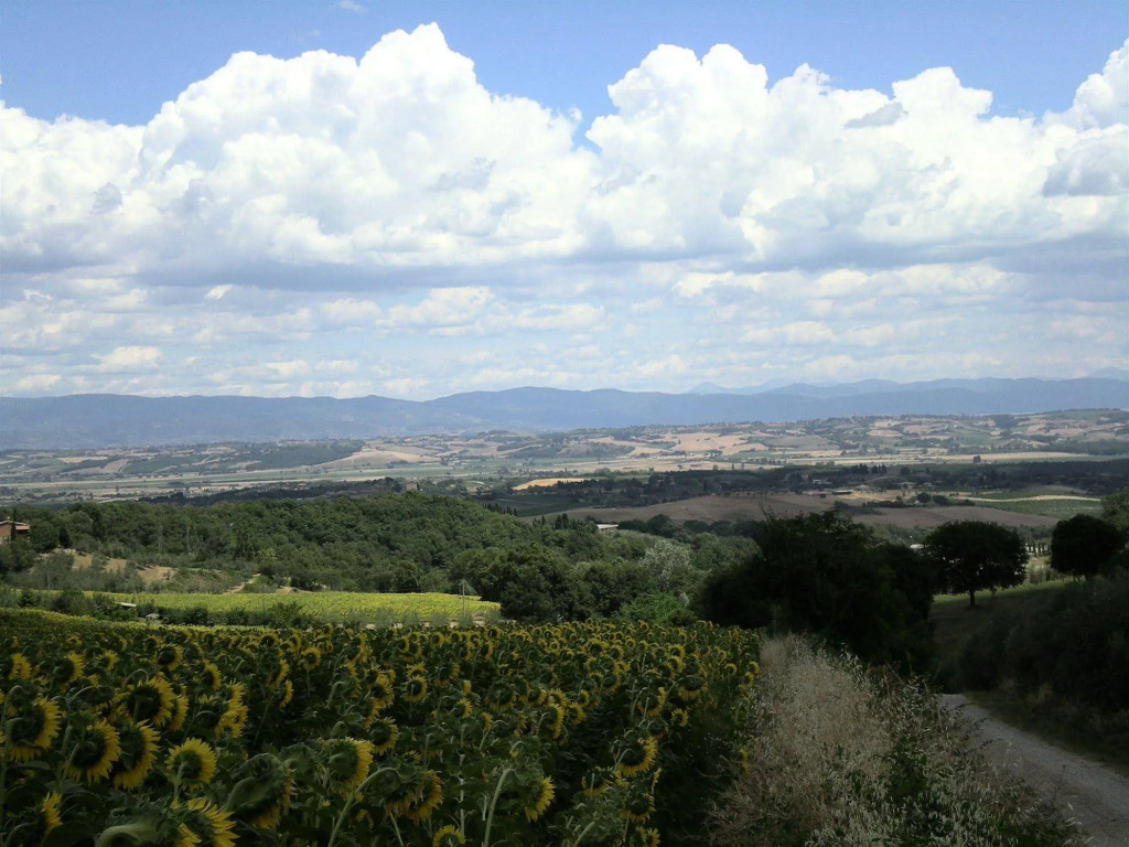 Hotel Sangallo