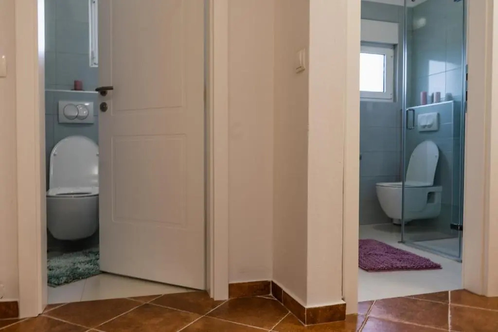Apartment Ivanka