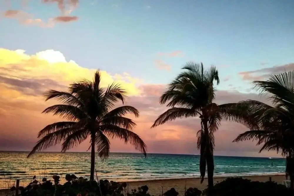 Amazing 1br apartment with pool, Hallandale Beach!