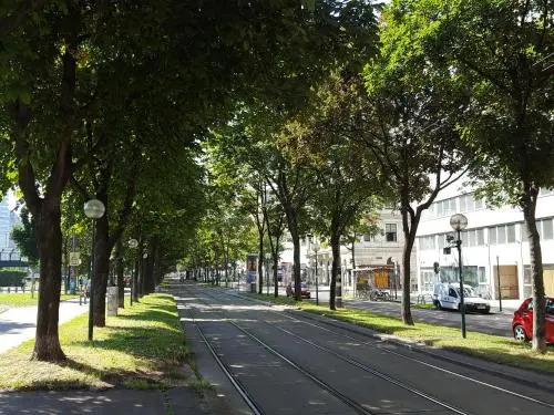Sobieski Ring Apartments
