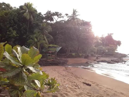 Corcovado Adventures