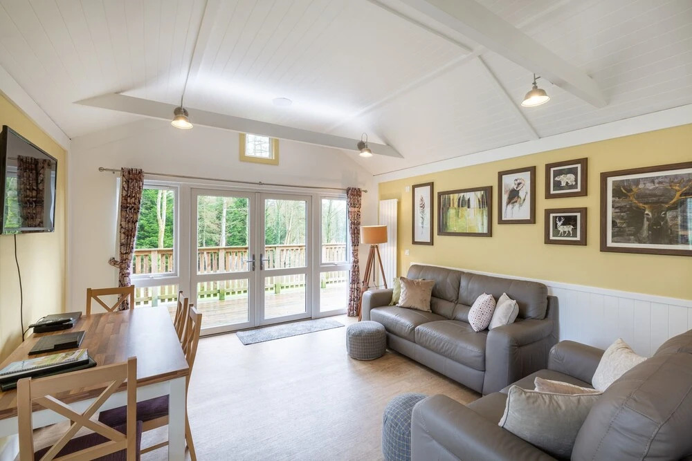 Squirrel Lodge 41 with Hot Tub, Newton Stewart