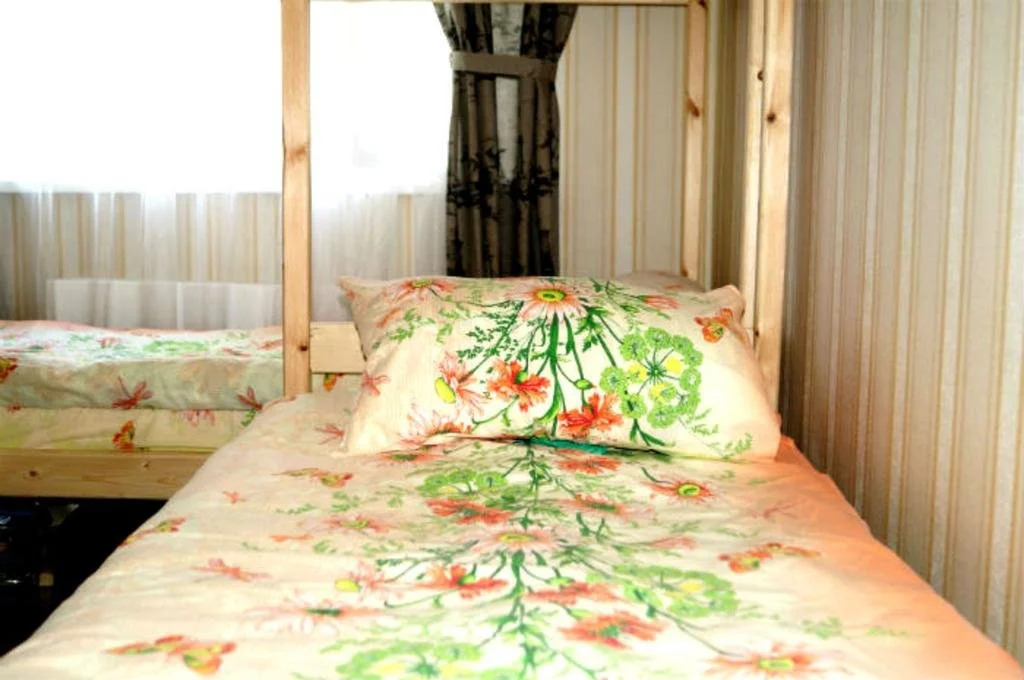 Hostel Cheryomushki