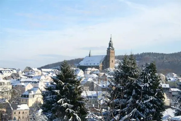 Berghotel Steiger