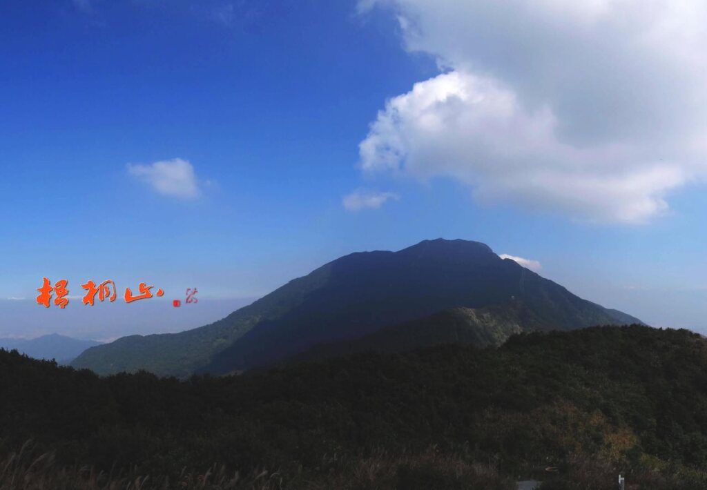 Vienna Hotel Shawan