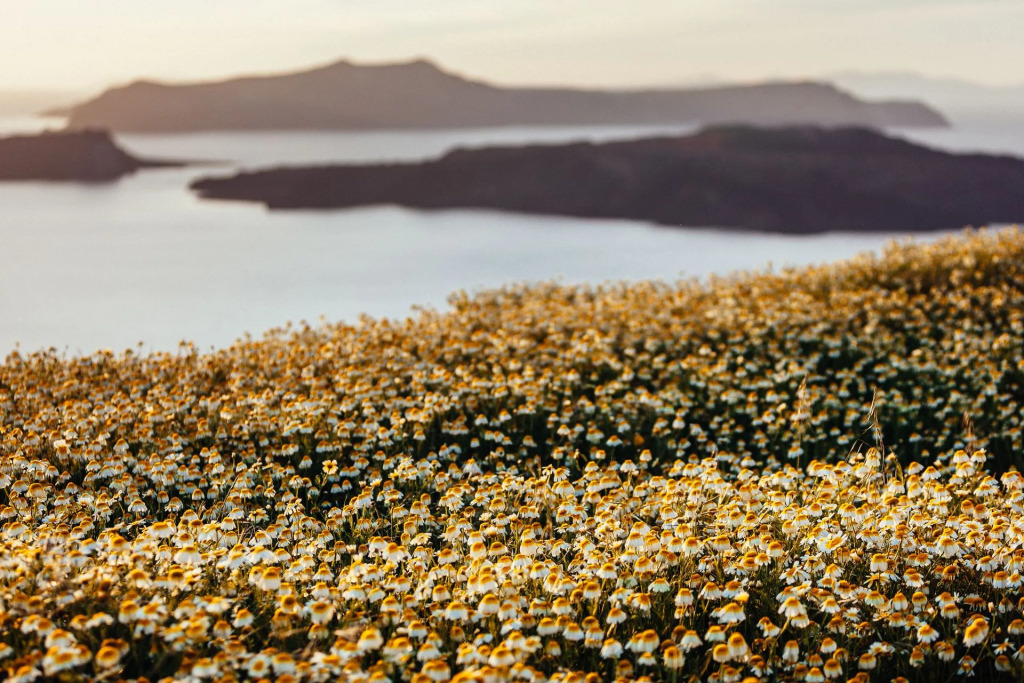 Santo Blue Santorini Caldera View Luxury Houses