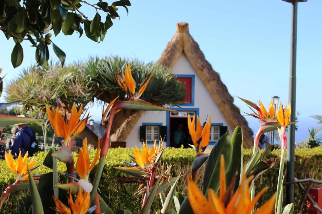 Villa SCIROCCO Madeira - Ocean View