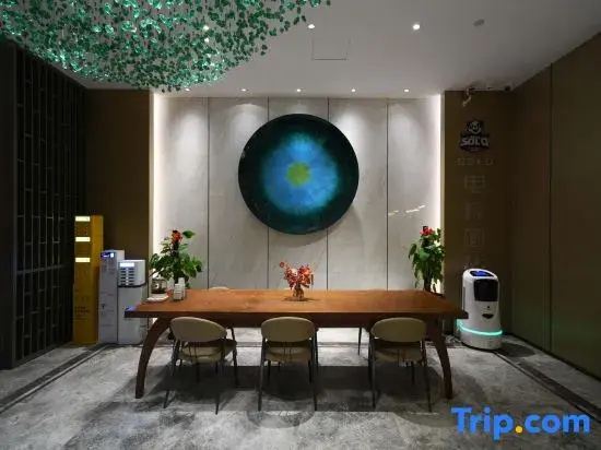 SOLO E-Sports Hotel (Yinzhou Baolong Flagship Store)