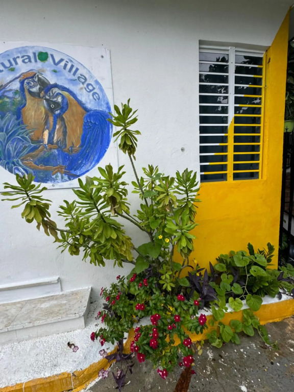 Casita Natural Village #4
