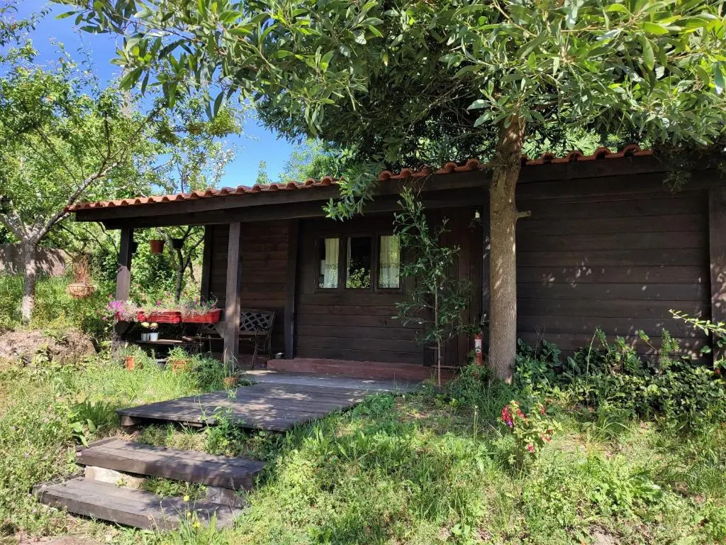 O Cantinho de Coura - a cabana