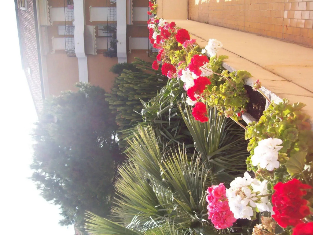 Hotel Marligure