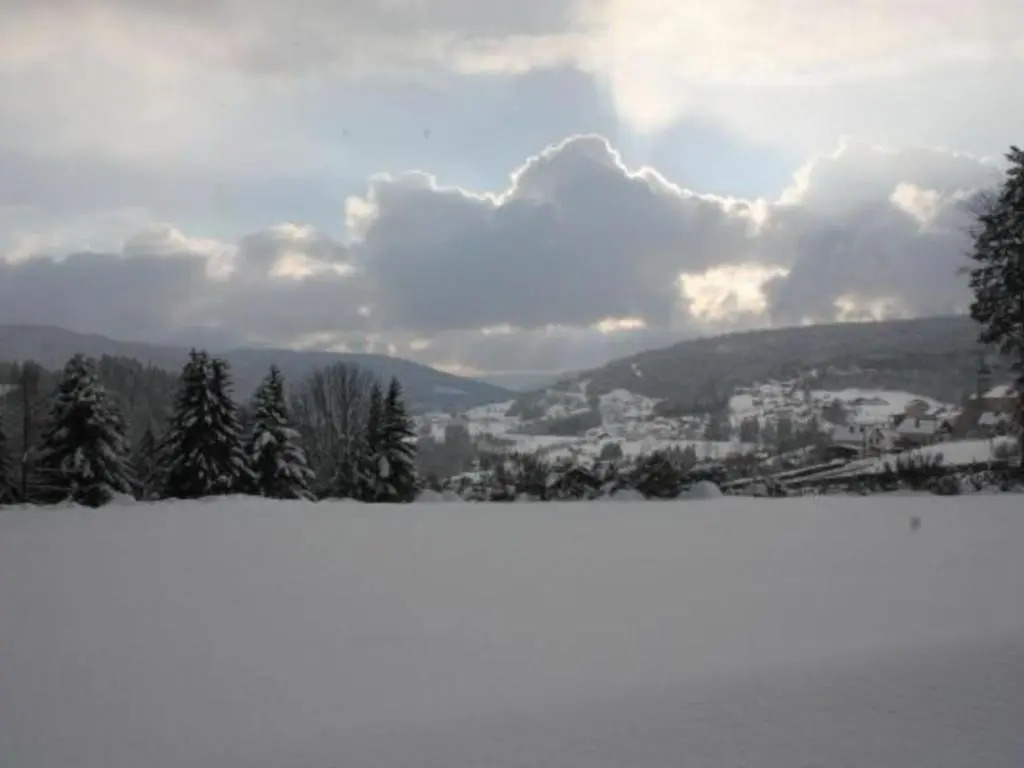 Gîte neuf au calme près de Gérardmer avec terrasse et balades en forêt - FR-1-589-217