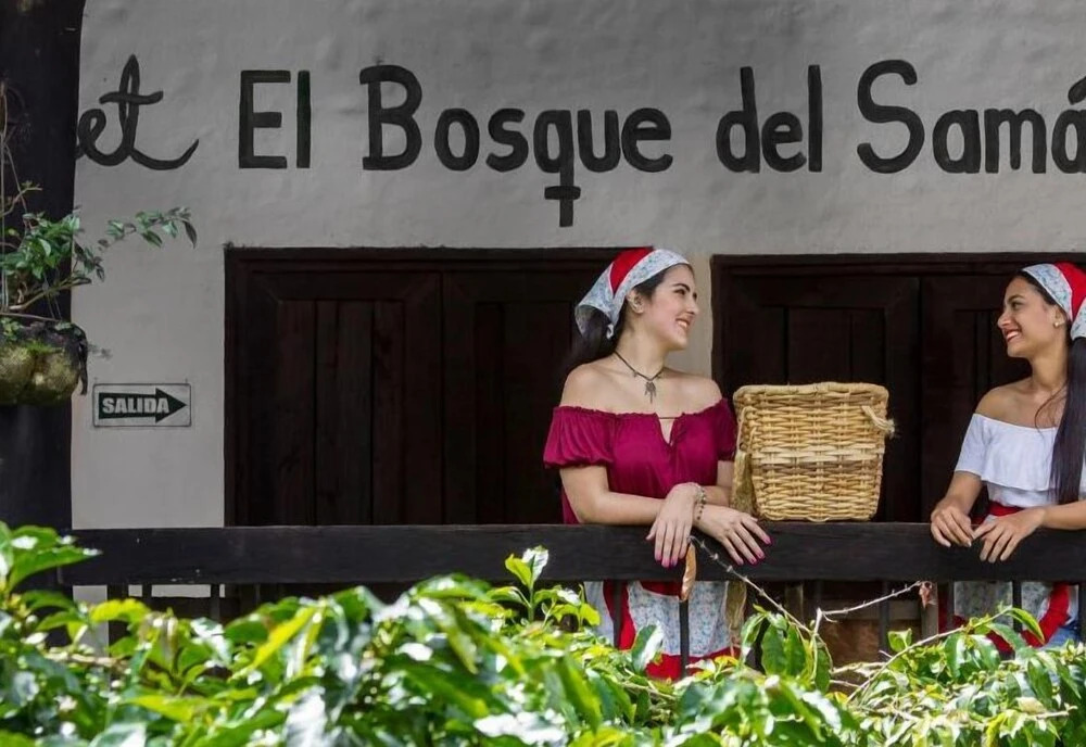 Hotel Bosques Del Saman Alcala