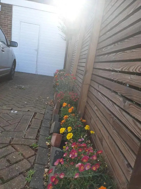 Brand New Extension Private Studio