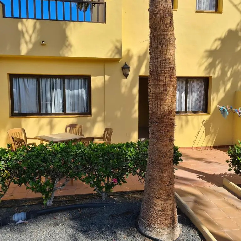 Oasis Royal F217