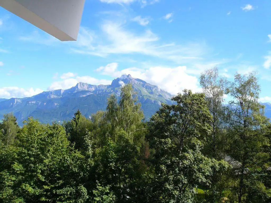 Résidence L'ecrin Des Glaciers Isard - 2 Pièces pour 6 Personnes 15