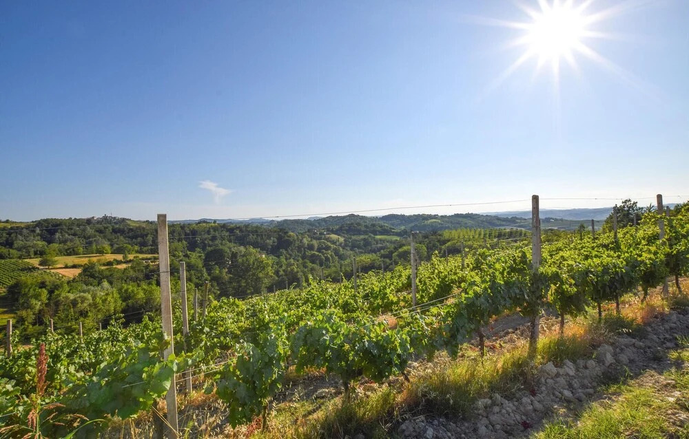 Stunning Home in Montegrosso Cinaglio With 2 Bedrooms, Wifi and Outdoor Swimming Pool
